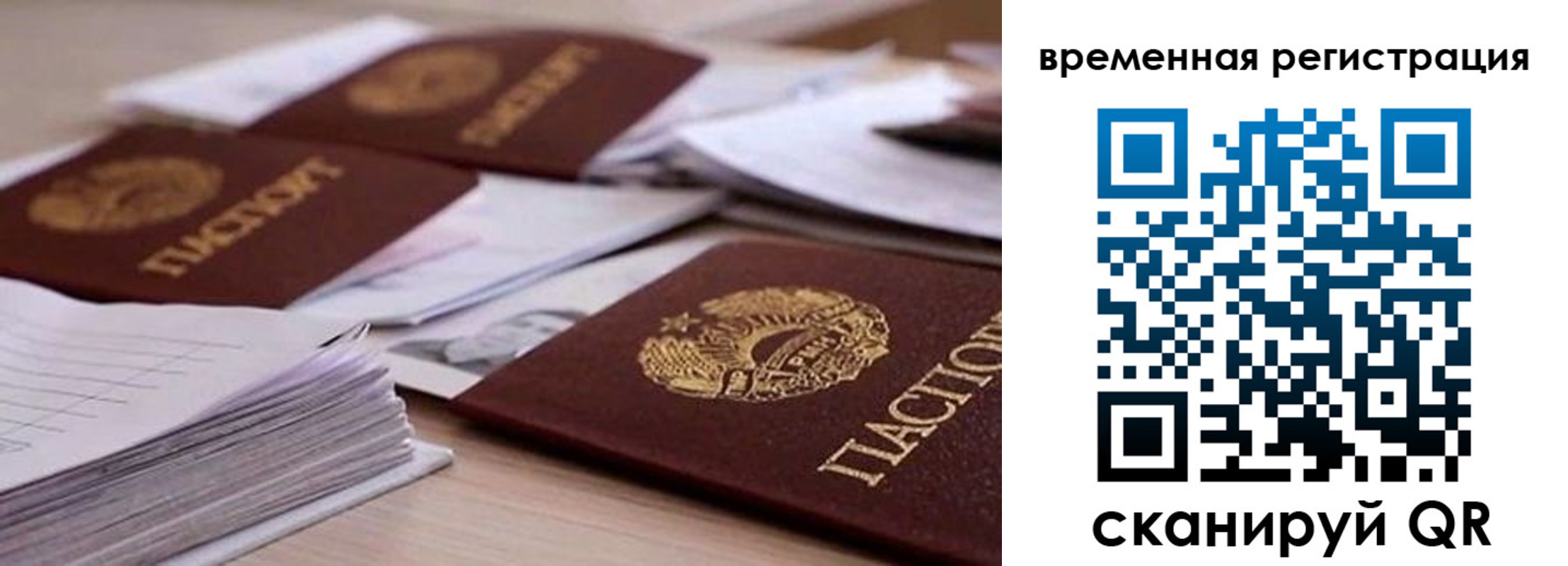 временная регистрация поиск в Раменском